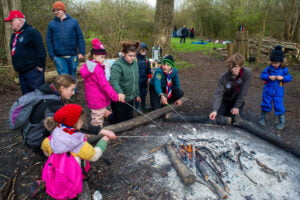 Squirrels cooking their marshmallows on the campfire.