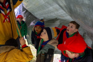 Curious Squirrels under a canvas.